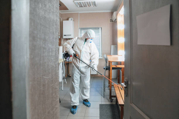 Best Air Quality Testing for Mold Spores  in Montrose, MI