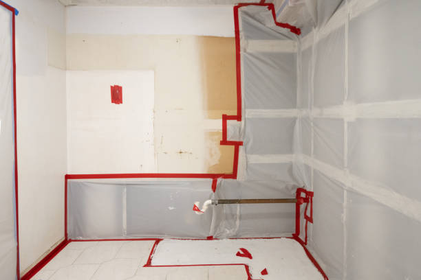Best Indoor Air Quality Assessment  in Montrose, MI