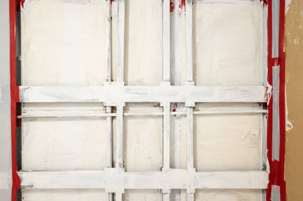Best Commercial Mold Inspection  in Montrose, MI