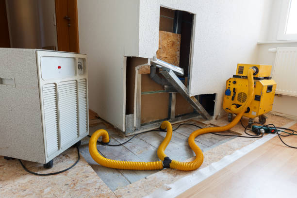 Best Comprehensive Air Testing for Mold Contaminants  in Montrose, MI