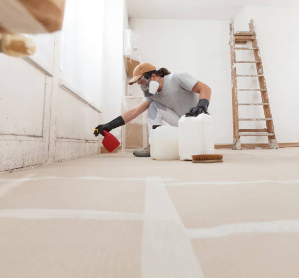Best Emergency Mold Remediation  in Montrose, MI