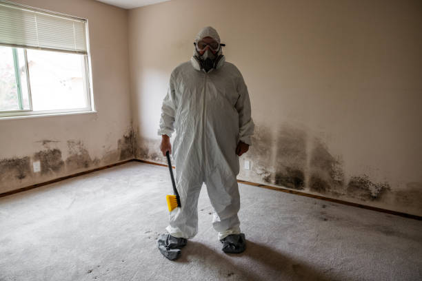 Best Biohazard Mold Removal  in Montrose, MI