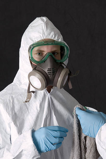 Best Airborne Mold Testing  in Montrose, MI